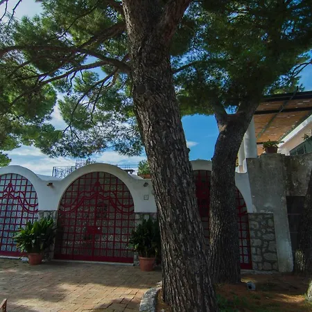 Tatil Evi Good Life *